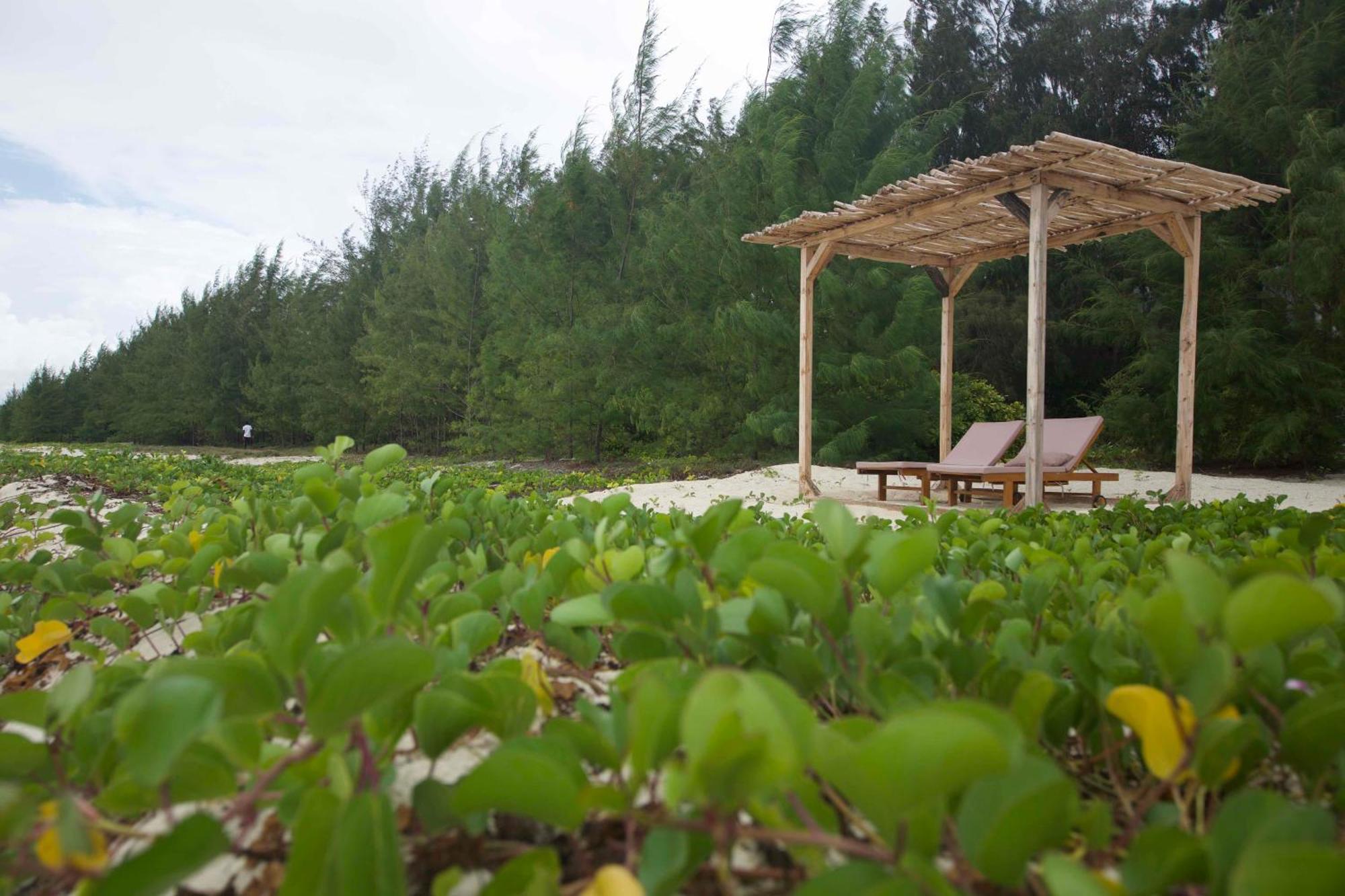 Kivuli Beach Resort Paje Εξωτερικό φωτογραφία